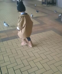 ハトを追いかけ回す(¯―¯٥) | その他