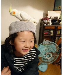 オカメインコ🐦💕 | ペットウェア