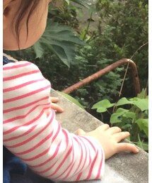 babyGAP | Tシャツ/カットソー