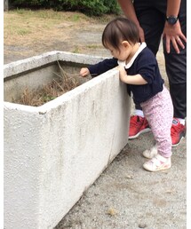 やっぱり草が好き | その他
