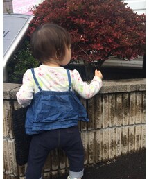 小枝見っけ♫ | その他