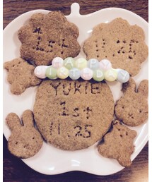 Biscuit | 福袋/福箱