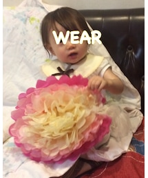 お花 | その他