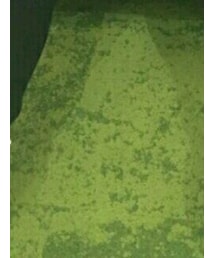 Fear of God Los Angeles | その他パンツ