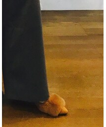 no brand | パンプス