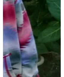 RALPH LAUREN | パーカー