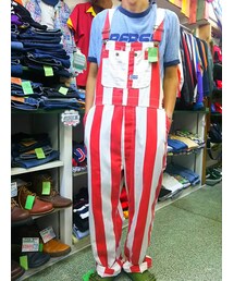 BIGSMITH | オーバーオール(オールインワン・サロペット)