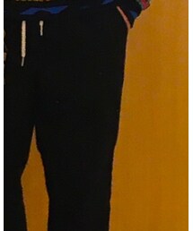 Dickies | パンツ
