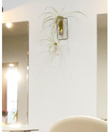 H&M | Tシャツ/カットソー