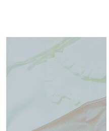 mon Lily | ワンピース