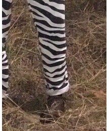 MoonStar | その他シューズ