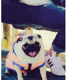 お腹すいたー | その他