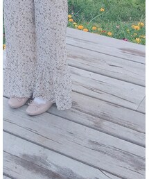 靴下屋 | ソックス/靴下