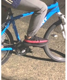 adidas Originals | スニーカー