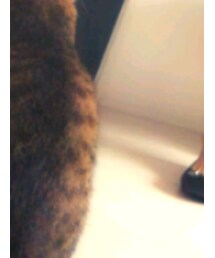 観客プシケ🐱 | その他