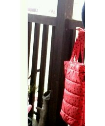 UNIQLO | トートバッグ