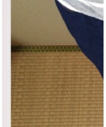 earth music&ecology | デニムパンツ