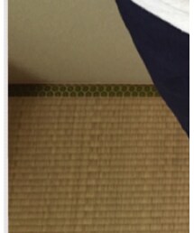 UNIQLO | その他パンツ