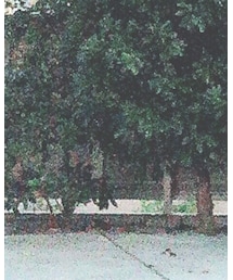 COMME des GARCONS | パンツ