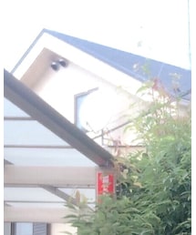 NEMETH | シャツ/ブラウス