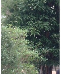 AIR JORDAN | スニーカー