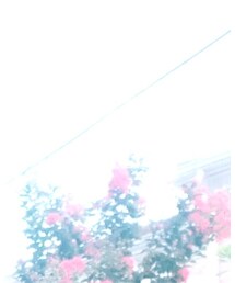 Y's | スラックス