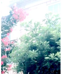 AIR MAX | スニーカー