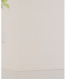 ポメちゃん | その他