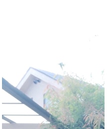 BOB DYLAN | Tシャツ/カットソー