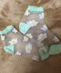 tutuanna | シースルー靴下(ソックス/靴下)