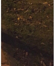 無印良品 | シューズ