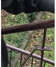 . | ダッフルコート