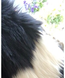 ファーベスト | ベスト