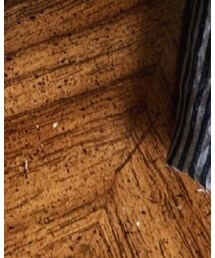 titimoo | ランチョンマット/テーブルウェア