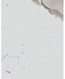 no brand | その他