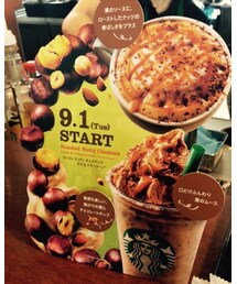 STARBUCKS | その他