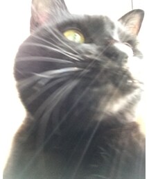 加藤家 | 生物(その他)