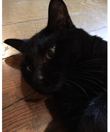 加藤家2 | その他