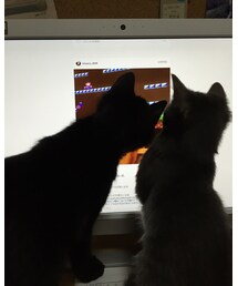 加藤家次男と長女 | パソコンに夢中ニャ〜(その他)