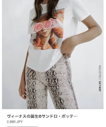 ZARA | Tシャツ/カットソー