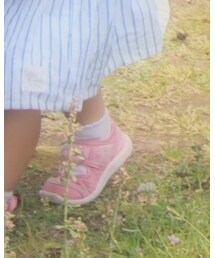 BeBe | ソックス/靴下