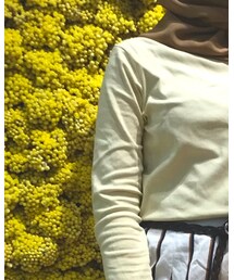 UNIQLO | シャツ/ブラウス