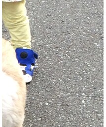 Reebok | スニーカー