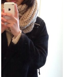 フランスで購入 | マフラー