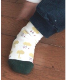 韓国の | ソックス/靴下