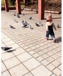 日向ぼっこ鳩妨害 | その他