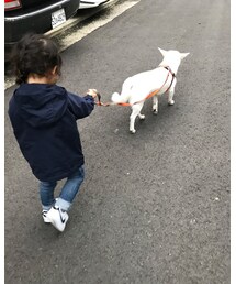 sanpo kuschel | その他