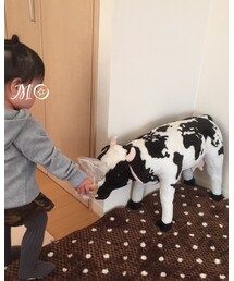 ペットの牛ちゃん❤︎ | ペットウェア