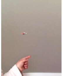 シールがぁ〜〜〜 | ステッカー/テープ