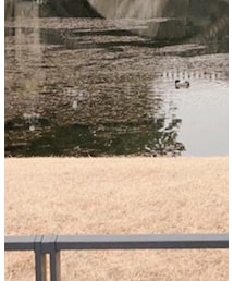 HONEY MI HONEY | パンツ